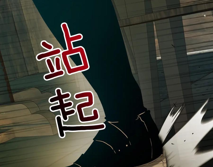第223页