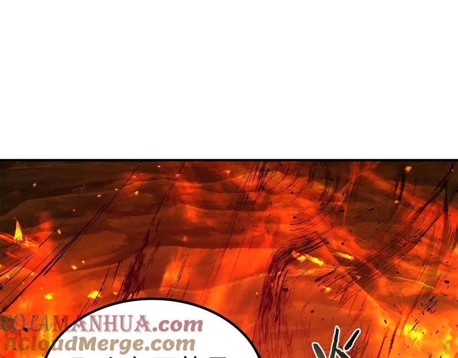 第241页