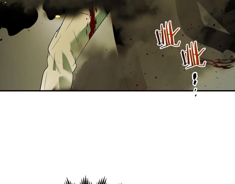 第204页