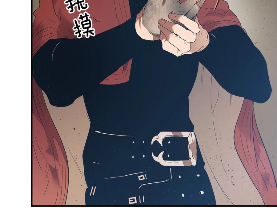 第207页