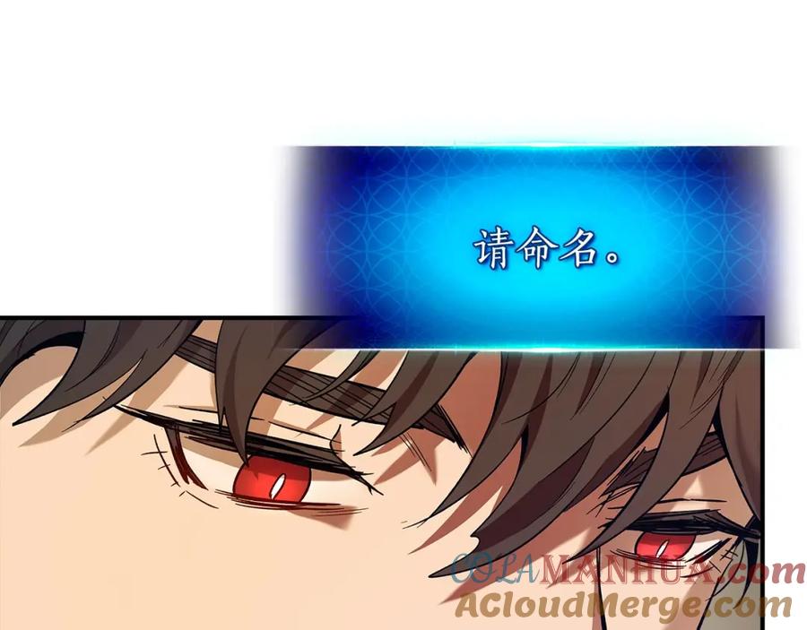 第229页
