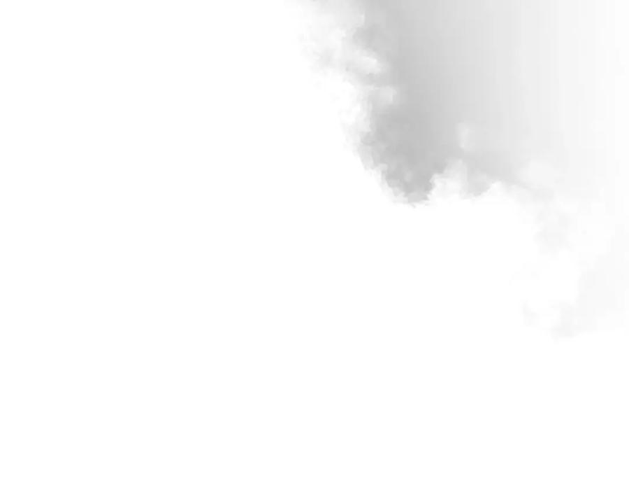 第239页