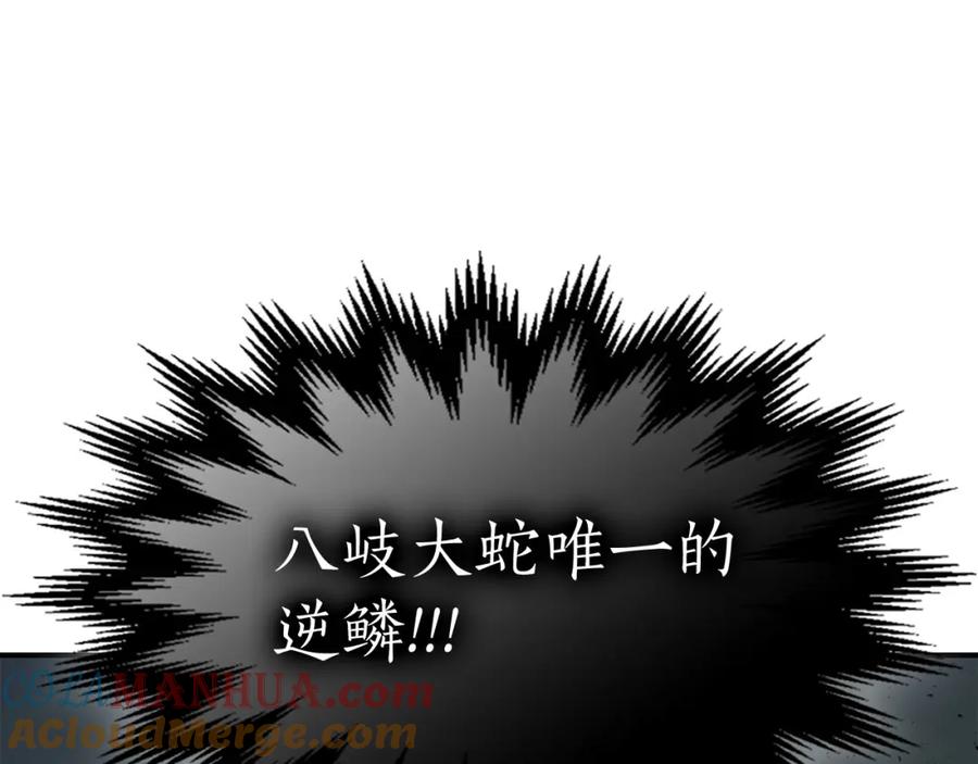 第213页