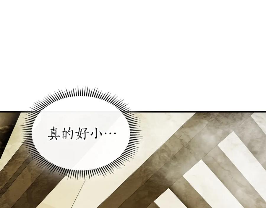 第223页