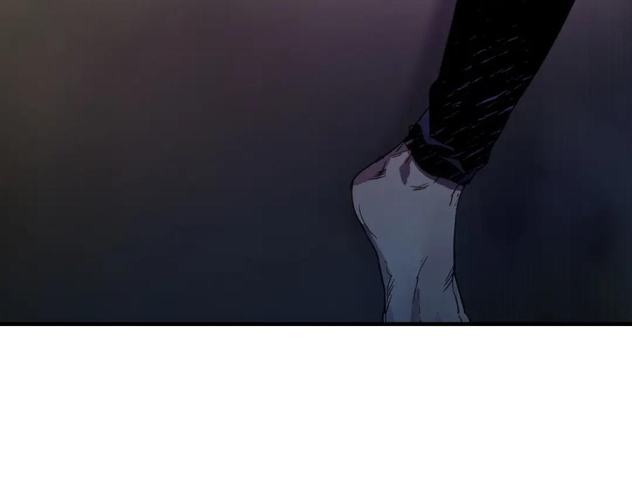 第243页