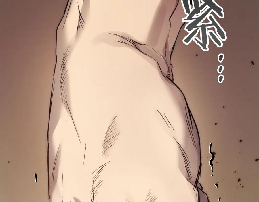 第194页
