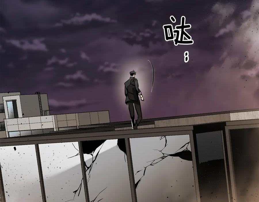 第204页