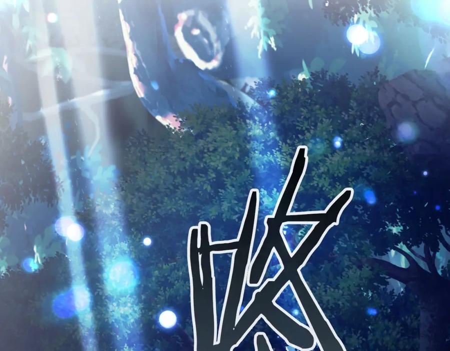 第206页