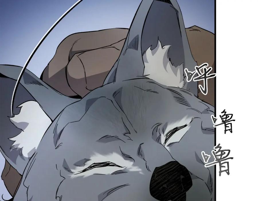 第243页