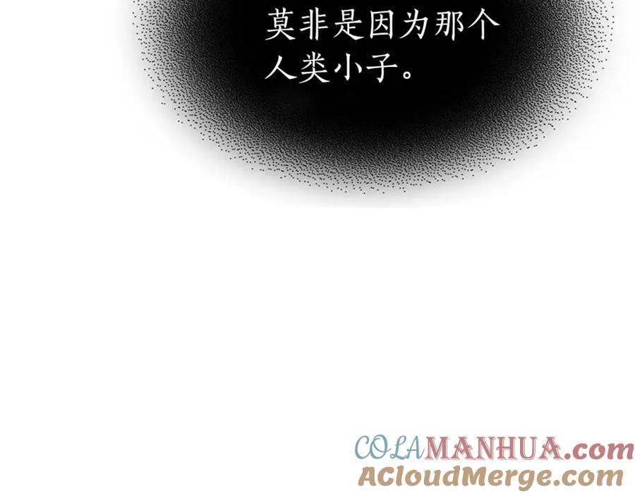 第245页