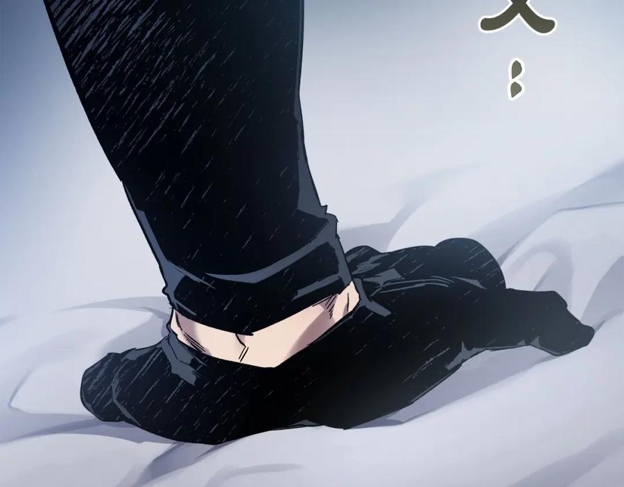 第204页