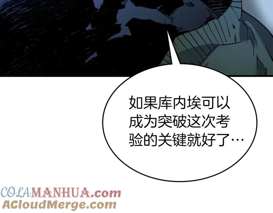 第229页