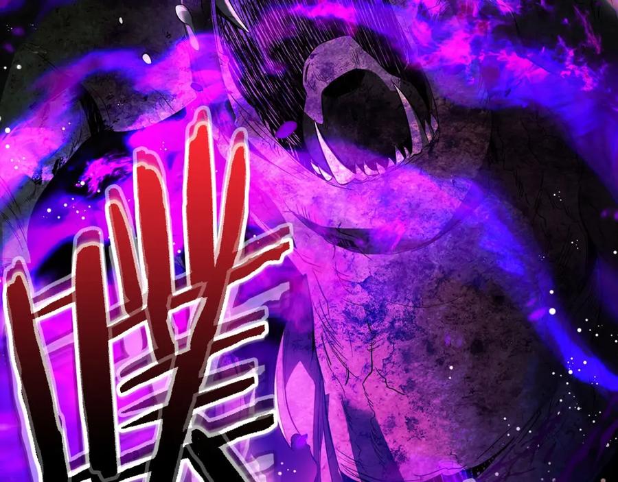 第264页