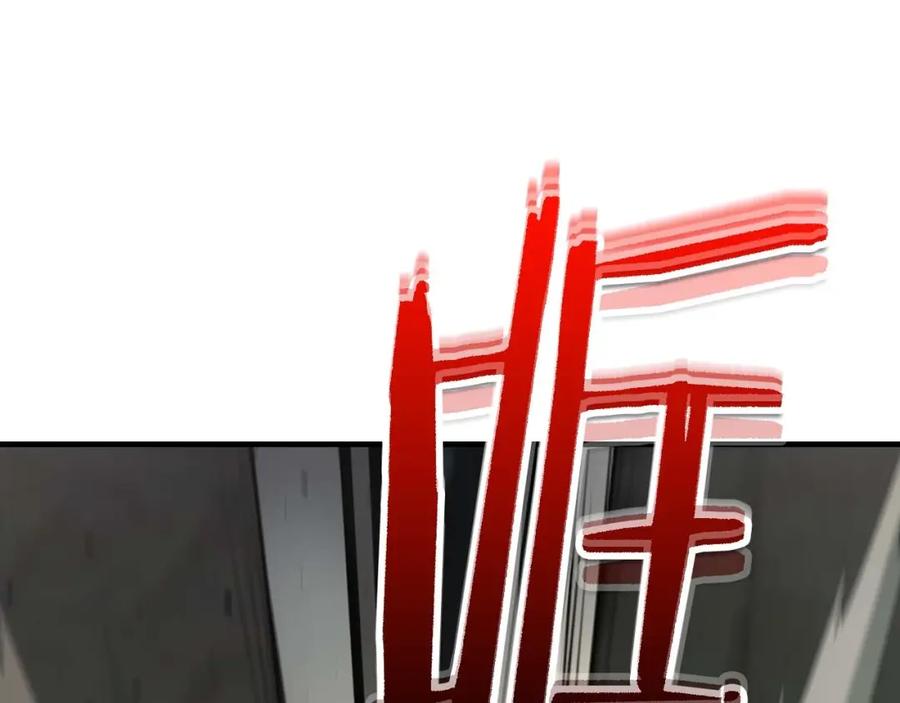第243页