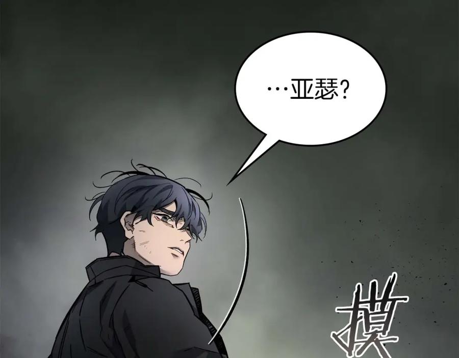 第223页