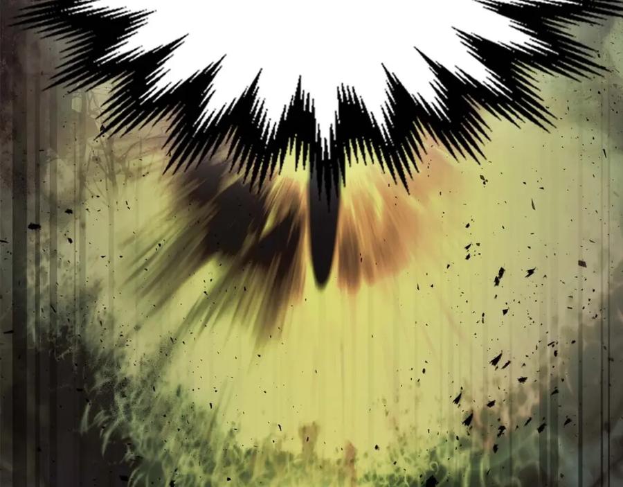 第250页