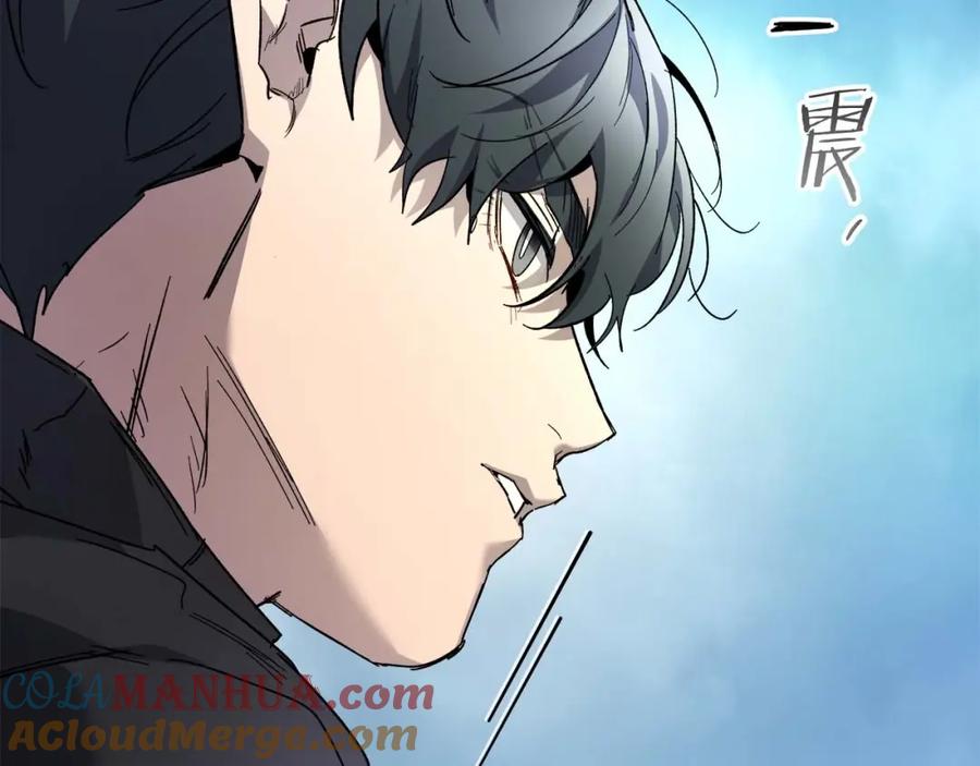 第209页