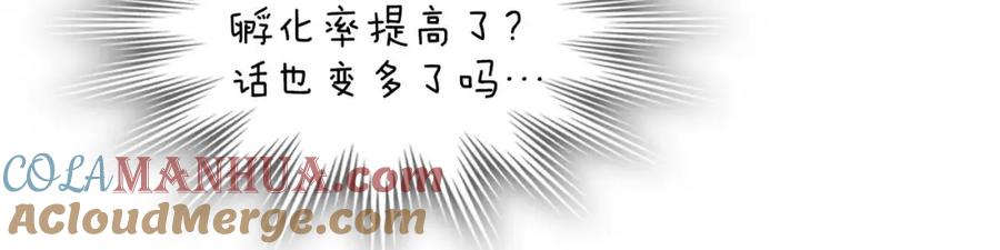 第229页