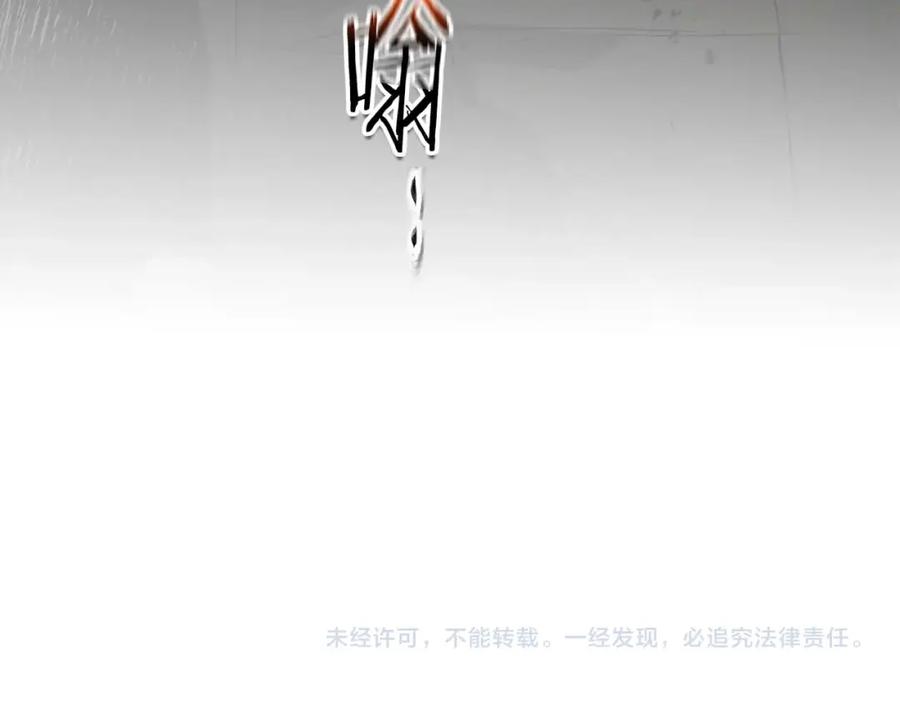 第223页