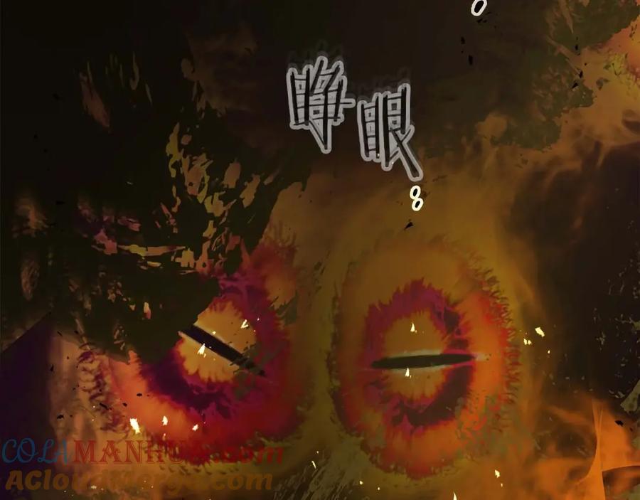 第229页