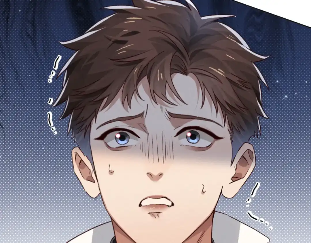 第335页