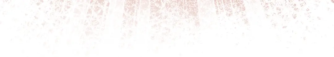 第288页