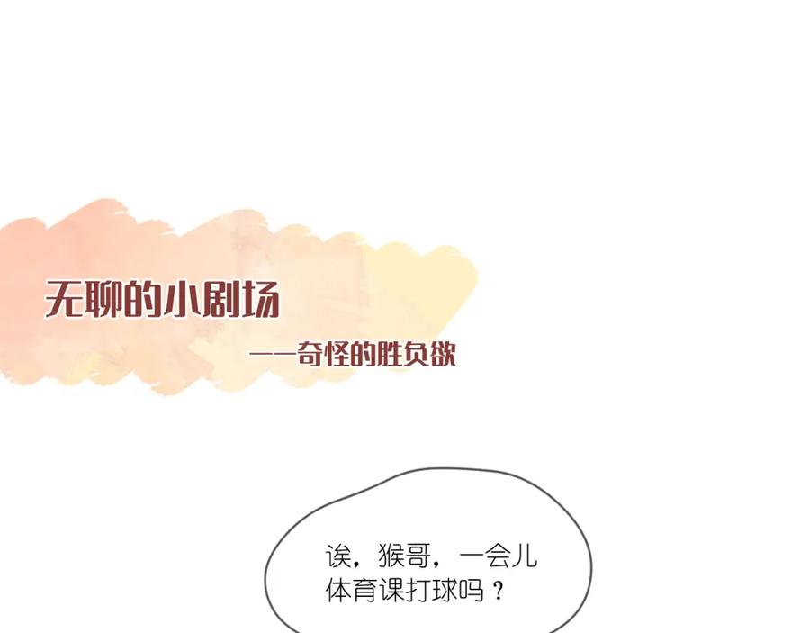 第224页