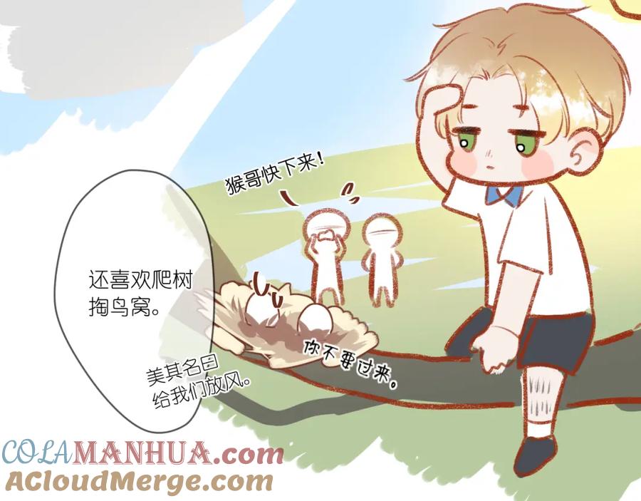 第229页