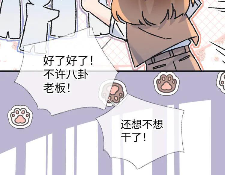 第238页