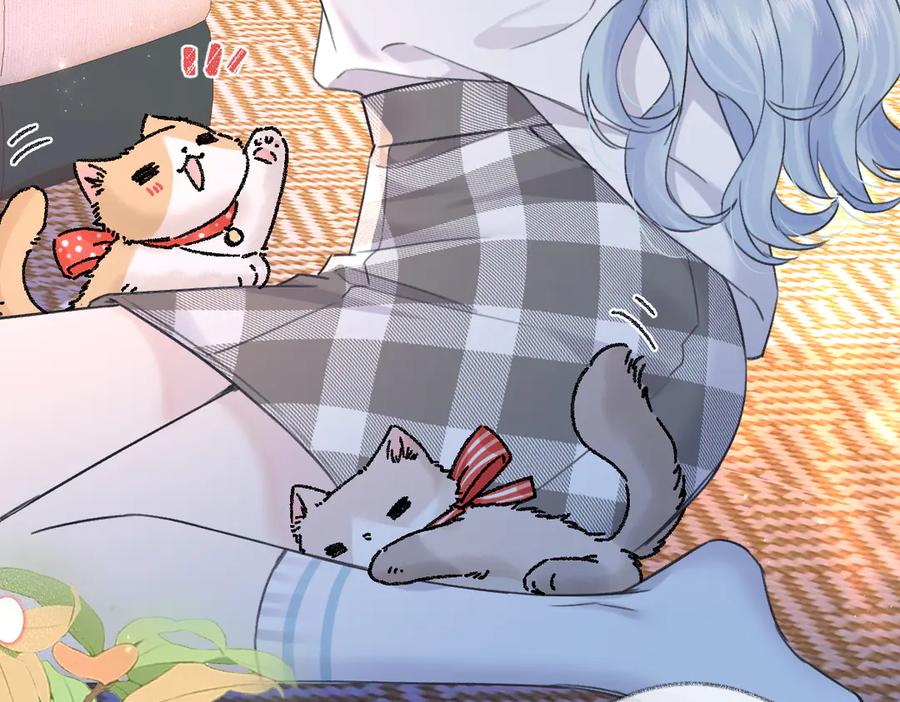 第204页