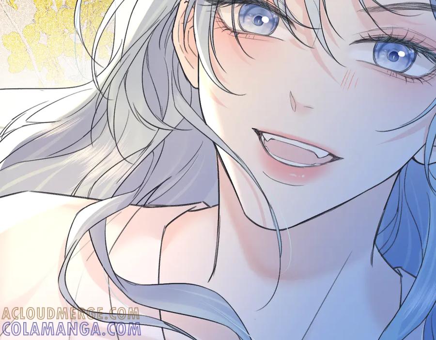 第246页