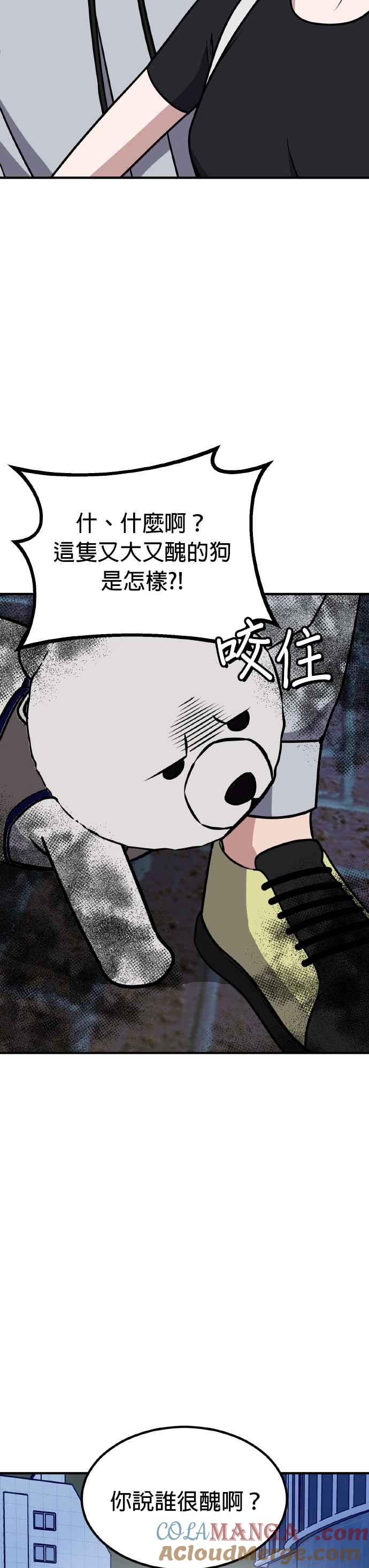 第41页