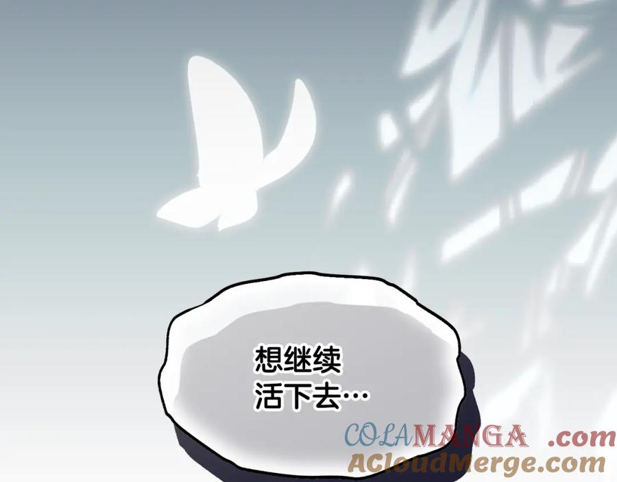 第217页