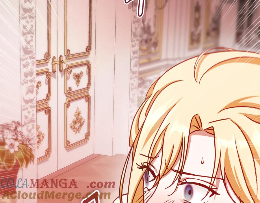 第205页