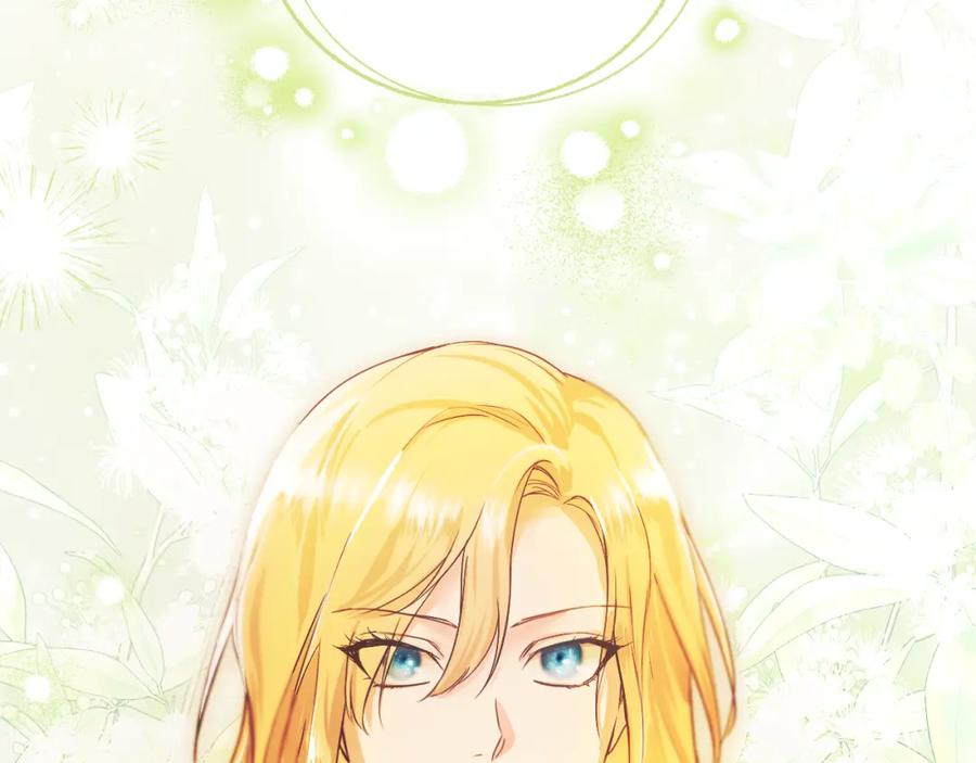 第250页