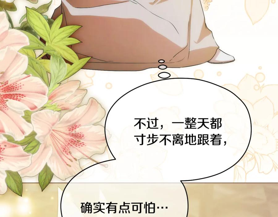 第223页