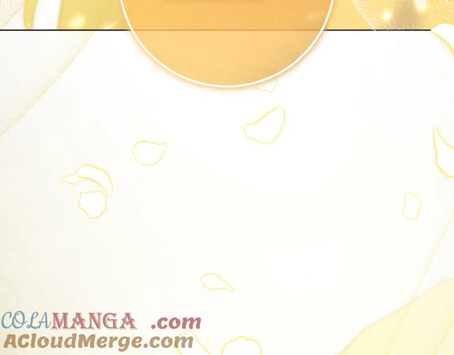 第221页