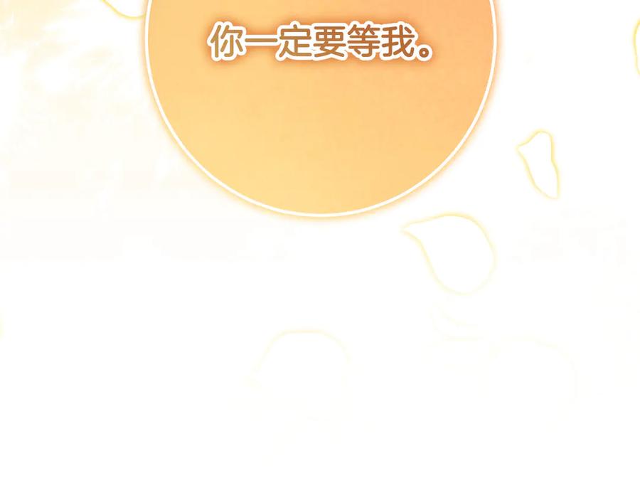 第224页