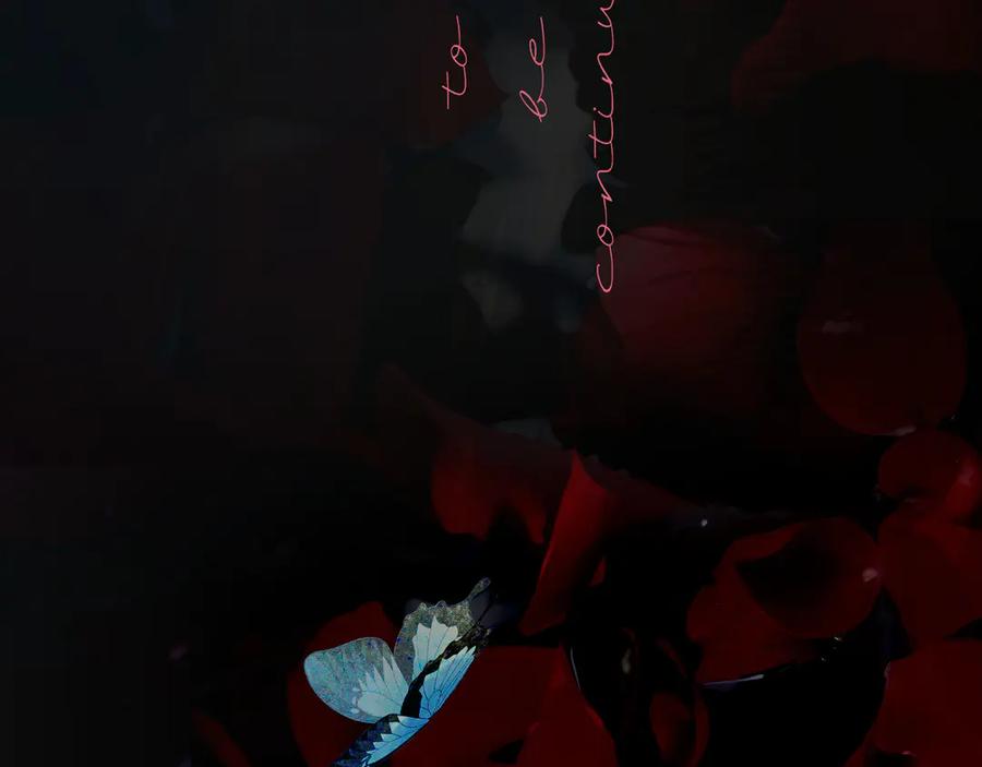 第178页