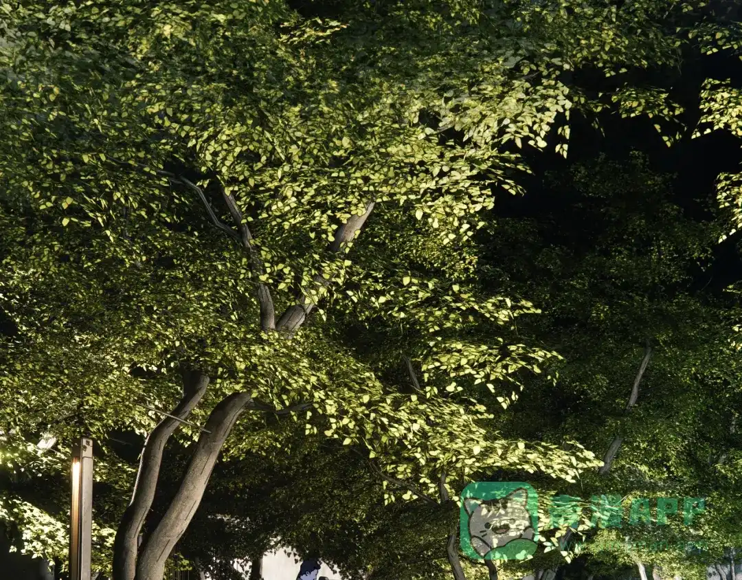 第106页
