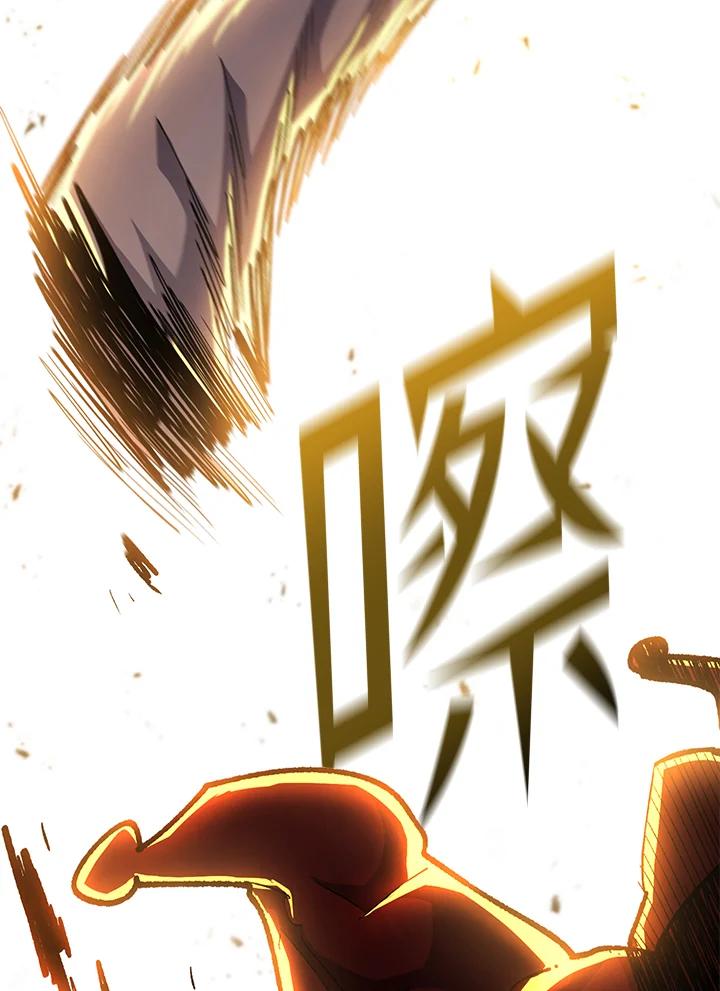 第223页