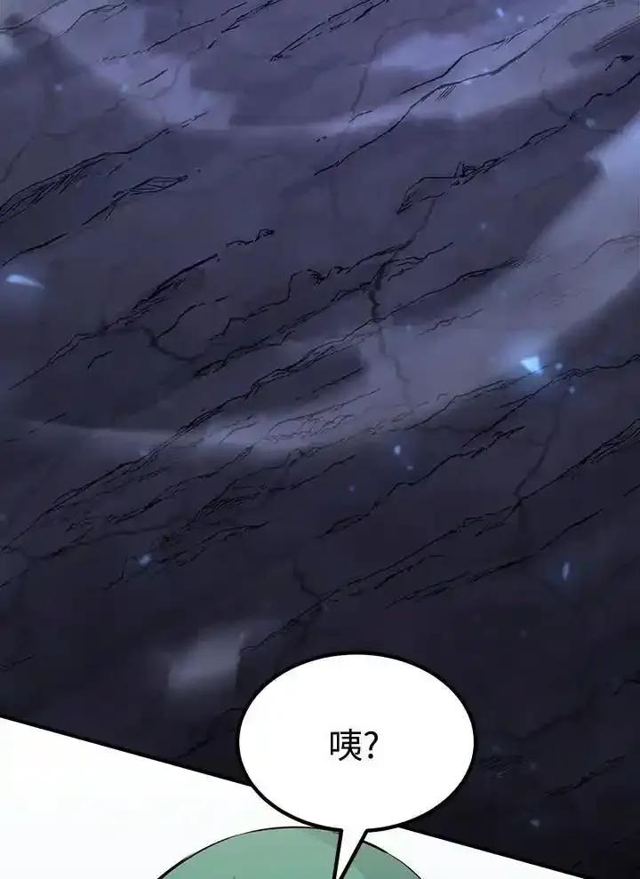 第219页