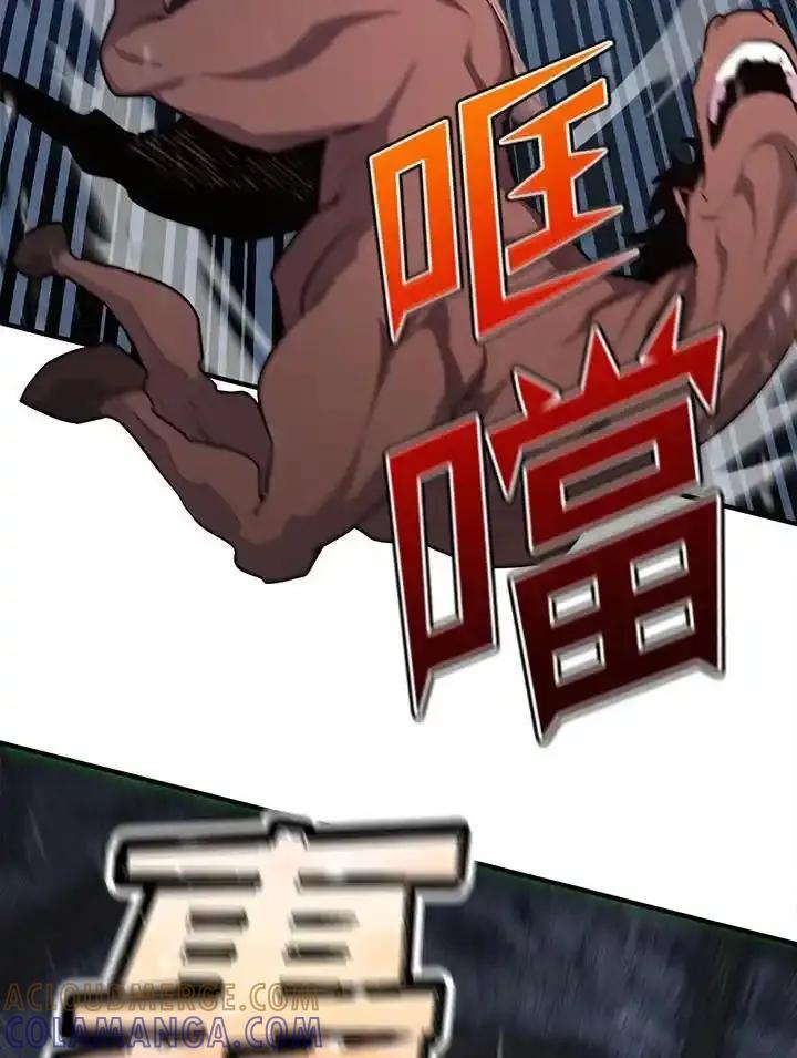 第146页