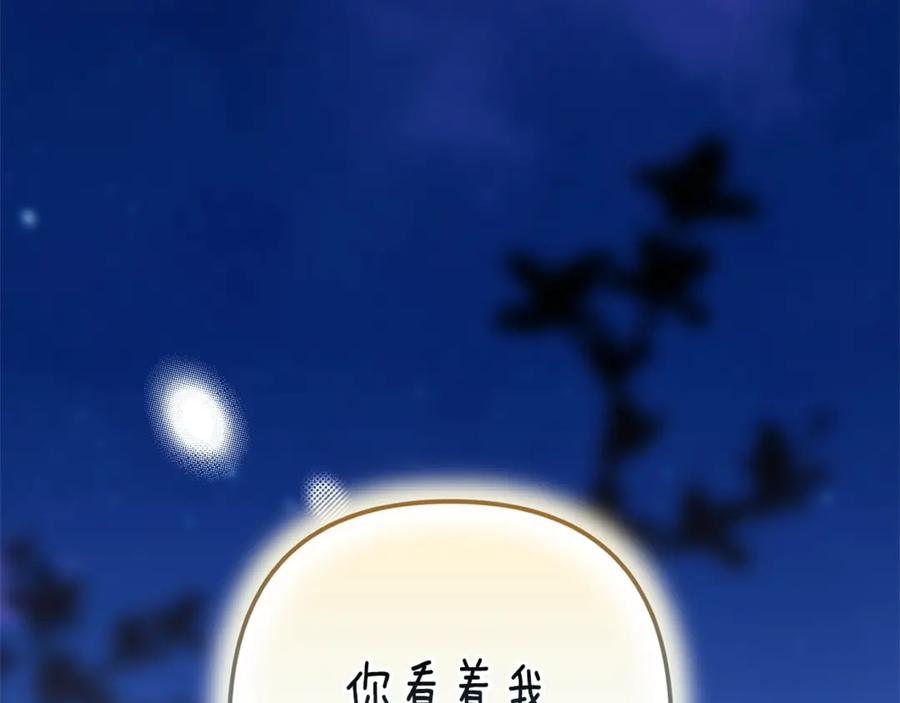 第223页