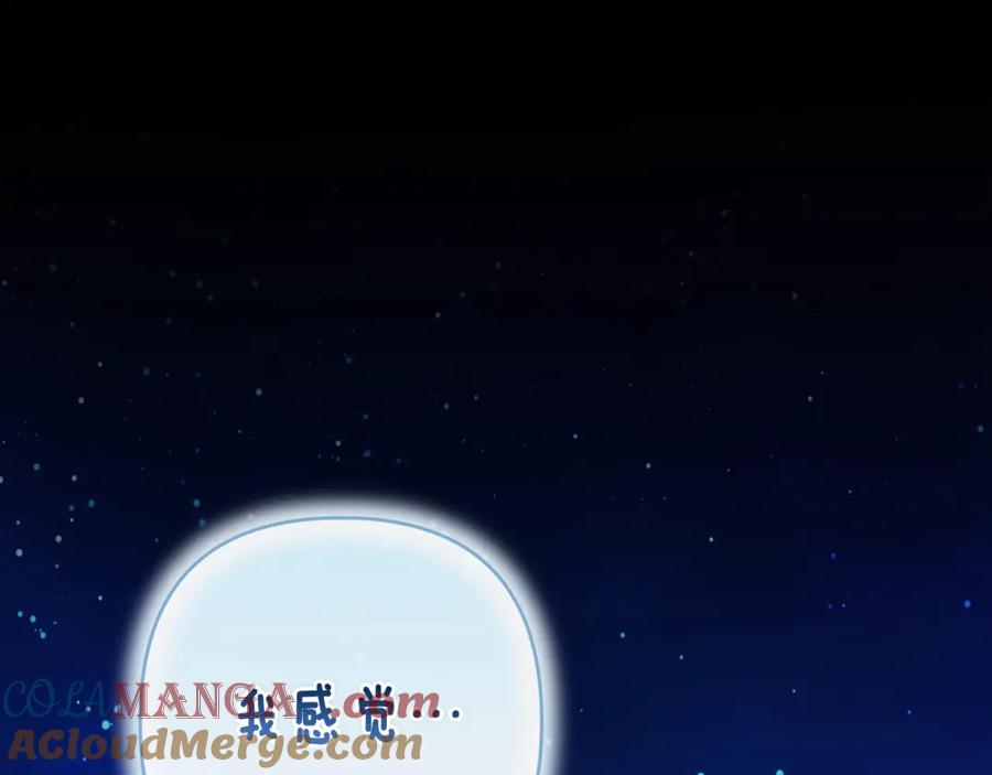 第237页
