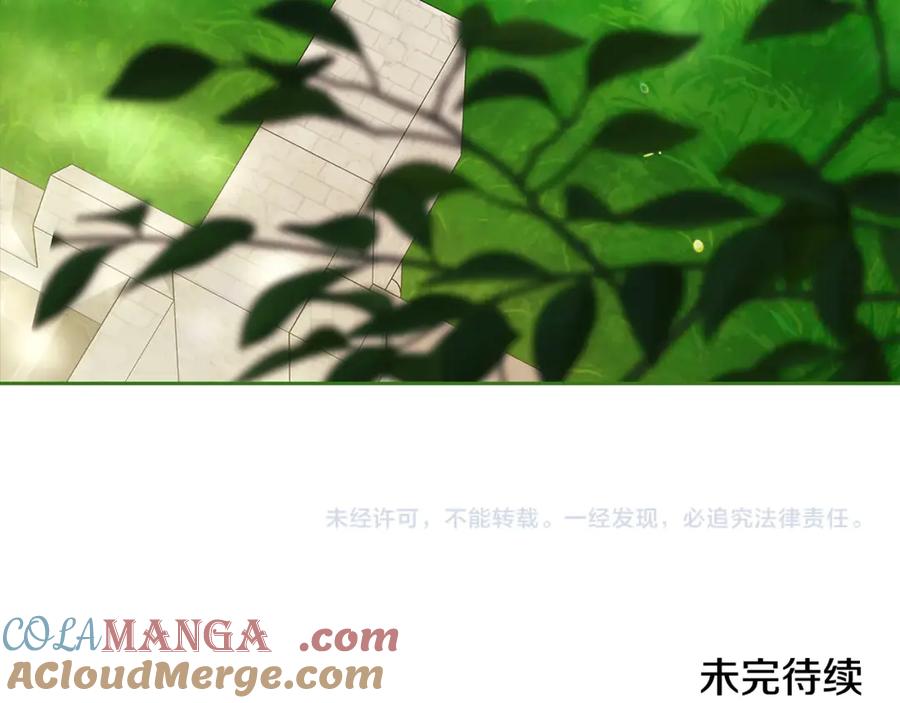 第241页