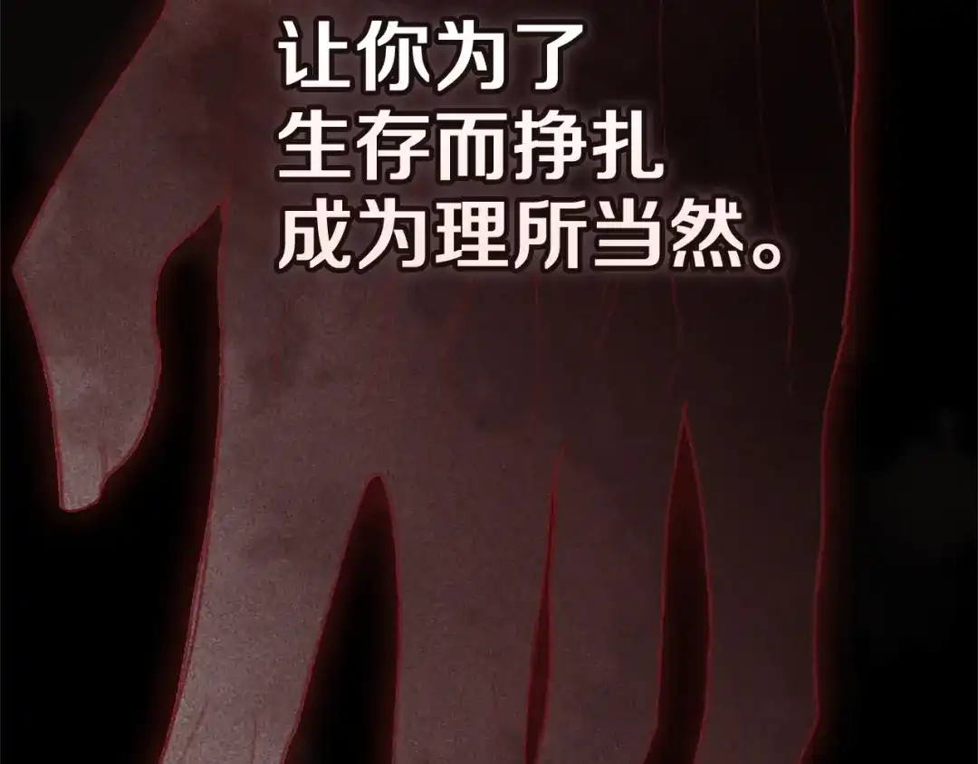 第247页