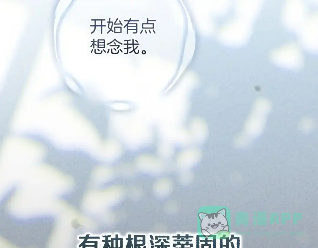 第216页