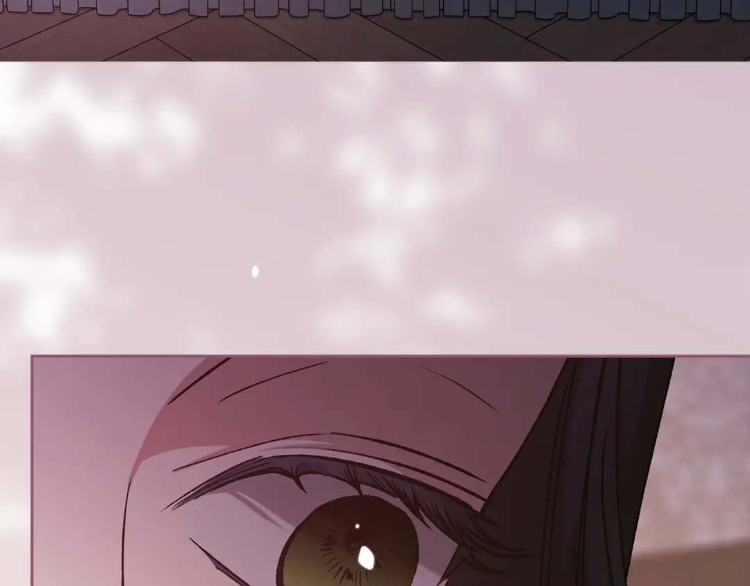 第229页