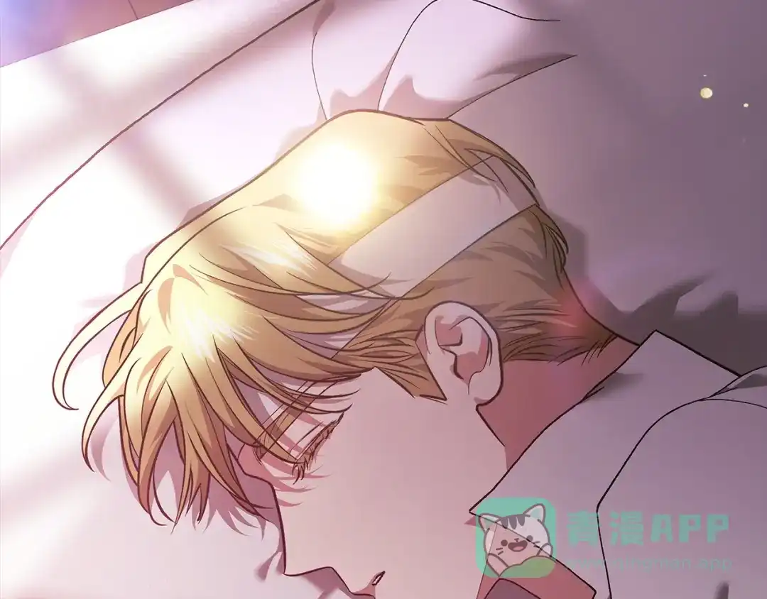 第231页